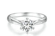 1CT Moissanite Silver Ring